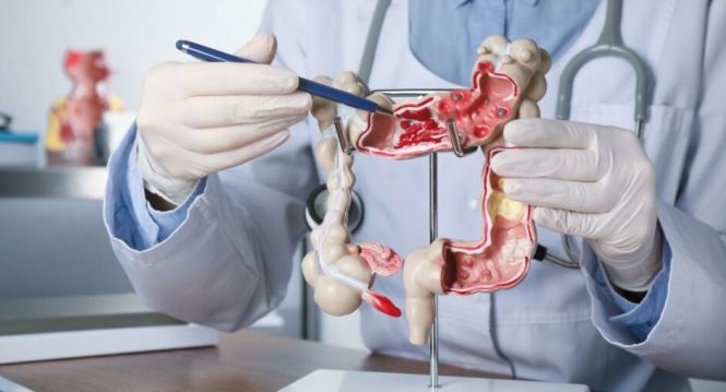Gastroenterology